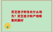 灵芝孢子粉生长什么地方？灵芝孢子粉产地哪里的最好