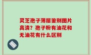 灵芝孢子薄层鉴别图片高清？孢子粉有油花和无油花有什么区别