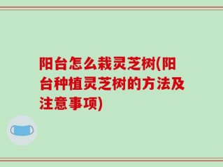 阳台怎么栽灵芝树(阳台种植灵芝树的方法及注意事项)