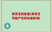 真灵芝的危害(真灵芝可能产生的负面影响)