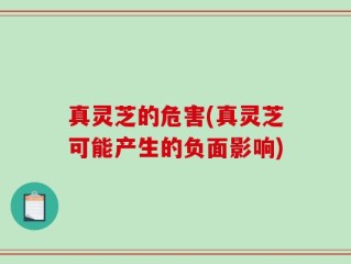 真灵芝的危害(真灵芝可能产生的负面影响)
