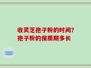 收灵芝孢子粉的时间？孢子粉的保质期多长