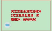 灵芝五爪金龙煲汤相冲(灵芝五爪金龙汤：药膳相冲，美味养身)