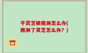 干灵芝被雨淋怎么办(雨淋了灵芝怎么办？)