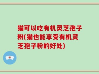 猫可以吃有机灵芝孢子粉(猫也能享受有机灵芝孢子粉的好处)