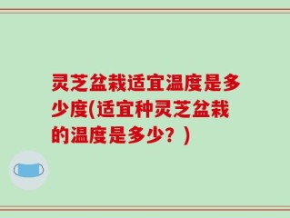 灵芝盆栽适宜温度是多少度(适宜种灵芝盆栽的温度是多少？)