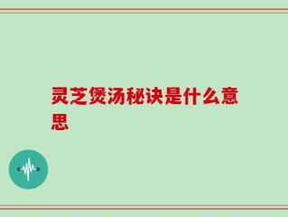 灵芝煲汤秘诀是什么意思