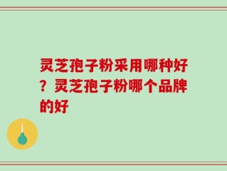 灵芝孢子粉采用哪种好？灵芝孢子粉哪个品牌的好