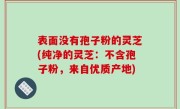 表面没有孢子粉的灵芝(纯净的灵芝：不含孢子粉，来自优质产地)