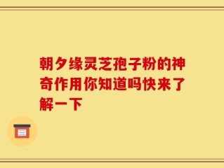 朝夕缘灵芝孢子粉的神奇作用你知道吗快来了解一下