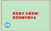 灵芝孢子 九章生物？灵芝的精华是什么