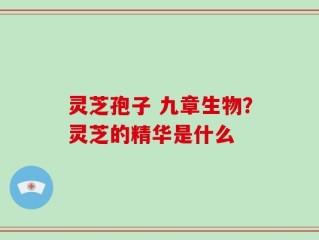 灵芝孢子 九章生物？灵芝的精华是什么