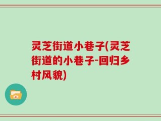 灵芝街道小巷子(灵芝街道的小巷子-回归乡村风貌)