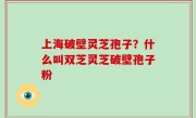 上海破壁灵芝孢子？什么叫双芝灵芝破壁孢子粉
