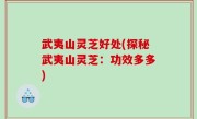 武夷山灵芝好处(探秘武夷山灵芝：功效多多)