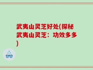 武夷山灵芝好处(探秘武夷山灵芝：功效多多)
