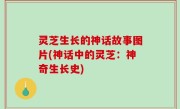 灵芝生长的神话故事图片(神话中的灵芝：神奇生长史)
