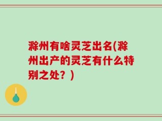 滁州有啥灵芝出名(滁州出产的灵芝有什么特别之处？)