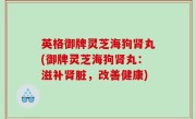 英格御牌灵芝海狗肾丸(御牌灵芝海狗肾丸：滋补肾脏，改善健康)