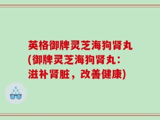 英格御牌灵芝海狗肾丸(御牌灵芝海狗肾丸：滋补肾脏，改善健康)