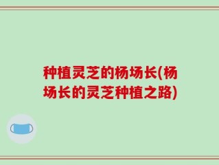 种植灵芝的杨场长(杨场长的灵芝种植之路)
