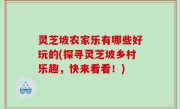 灵芝坡农家乐有哪些好玩的(探寻灵芝坡乡村乐趣，快来看看！)