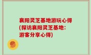 襄阳灵芝基地游玩心得(探访襄阳灵芝基地：游客分享心得)