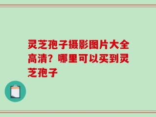 灵芝孢子摄影图片大全高清？哪里可以买到灵芝孢子