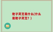 狍子灵芝是什么(什么是狍子灵芝？)