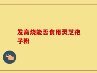 发高烧能否食用灵芝孢子粉
