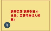 鹏哥灵芝(鹏哥创业小纪录：灵芝带来惊人效果)