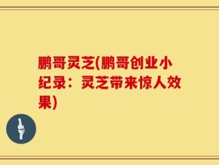 鹏哥灵芝(鹏哥创业小纪录：灵芝带来惊人效果)