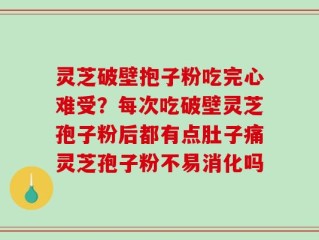 灵芝破壁抱子粉吃完心难受？每次吃破壁灵芝孢子粉后都有点肚子痛灵芝孢子粉不易消化吗