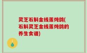 灵芝石斛金线莲炖鸽(石斛灵芝金线莲炖鸽的养生食谱)