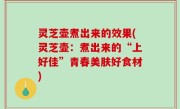 灵芝壶煮出来的效果(灵芝壶：煮出来的“上好佳”青春美肤好食材)