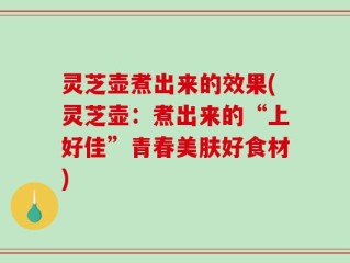 灵芝壶煮出来的效果(灵芝壶：煮出来的“上好佳”青春美肤好食材)