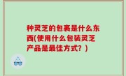 种灵芝的包裹是什么东西(使用什么包装灵芝产品是最佳方式？)