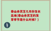 泰山赤灵芝几月份生长出来(泰山赤灵芝的发芽季节是什么时候？)
