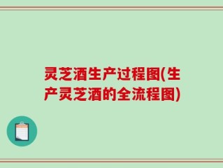 灵芝酒生产过程图(生产灵芝酒的全流程图)