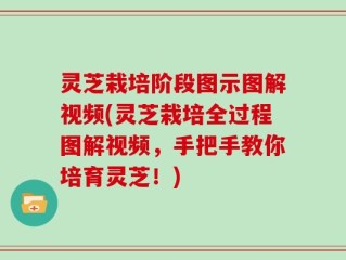 灵芝栽培阶段图示图解视频(灵芝栽培全过程图解视频，手把手教你培育灵芝！)