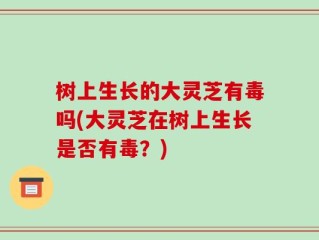 树上生长的大灵芝有毒吗(大灵芝在树上生长是否有毒？)