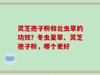灵芝孢子粉和北虫草的功效？冬虫夏草、灵芝孢子粉，哪个更好