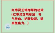 红枣灵芝鸡即草的功效(红枣灵芝鸡草汤：补气养血、护肝益肾、提高免疫力。)
