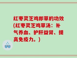 红枣灵芝鸡即草的功效(红枣灵芝鸡草汤：补气养血、护肝益肾、提高免疫力。)