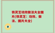 铁灵芝功效做法大全图片(铁灵芝：功效、做法、图片大全)