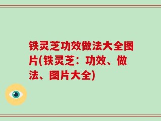 铁灵芝功效做法大全图片(铁灵芝：功效、做法、图片大全)