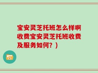 宝安灵芝托班怎么样啊收费宝安灵芝托班收费及服务如何？)