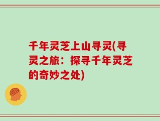 千年灵芝上山寻灵(寻灵之旅：探寻千年灵芝的奇妙之处)