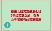 在东北找灵芝是怎么找(寻找灵芝之旅：在东北寻觅稀有的灵芝菌源