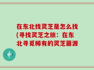 在东北找灵芝是怎么找(寻找灵芝之旅：在东北寻觅稀有的灵芝菌源